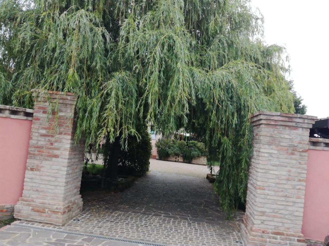 Agriturismo Ferretti Villa Massa Lombarda ภายนอก รูปภาพ